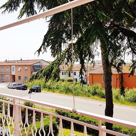 Apt. 7 - Villa Dei Pini أَميليا المظهر الخارجي الصورة