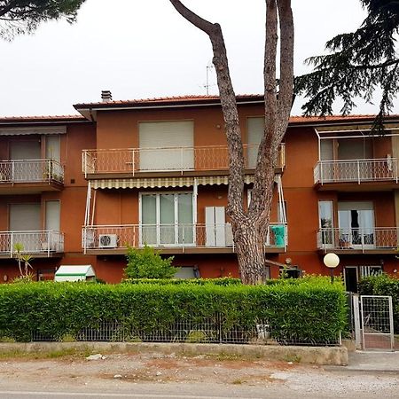 Apt. 7 - Villa Dei Pini أَميليا المظهر الخارجي الصورة
